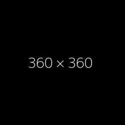 360x360